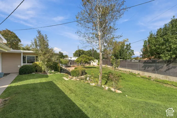 Expansive grassy yard with mature trees and established shrubs