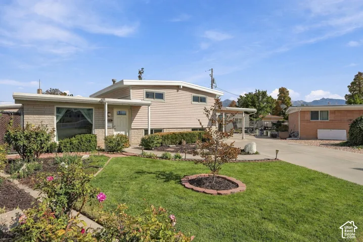 Expansive front yard with manicured lawn, established landscaping, and mature foliage