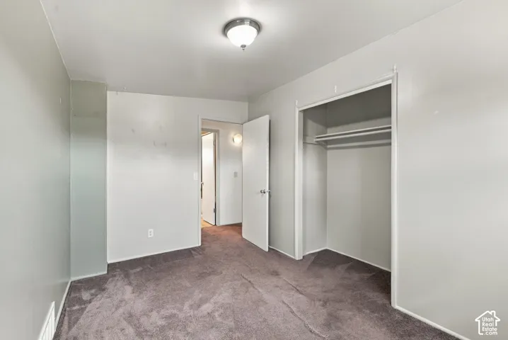 Carpeted flooring, neutral wall tones, interior lighting fixture, and an open closet with built-in shelving