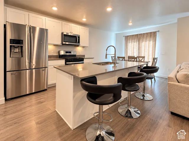 Contemporary kitchen with stainless steel appliances, white cabinetry, a large kitchen island, and wood-finish flooring