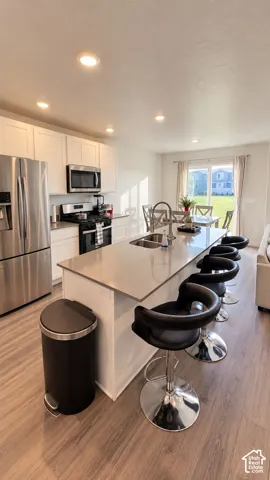Kitchen featuring recessed lighting, wood-finish flooring, white cabinetry, and stainless steel appliances