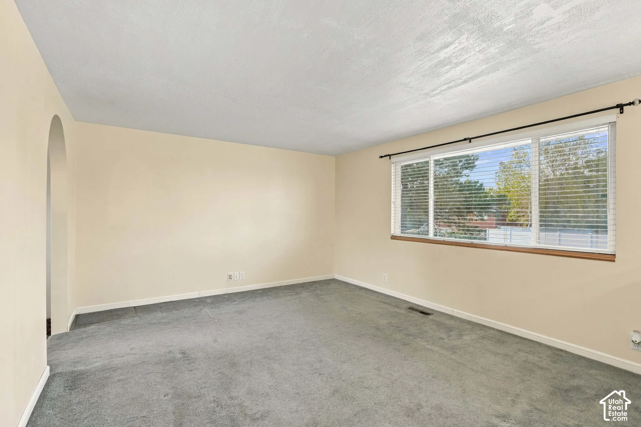 Neutral wall color, carpeted flooring, large window with blinds, and an arched doorway