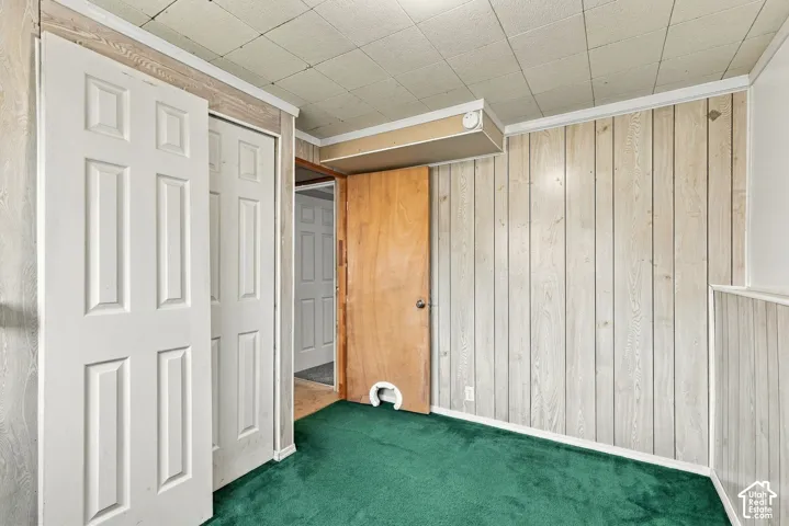 Green carpeting, panel wall finishes, white six-panel bi-fold closet doors, and a wood-finish interior door