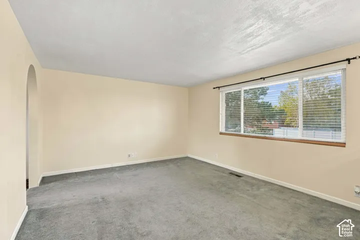 Neutral wall color, carpeted flooring, large window with blinds, and an arched doorway
