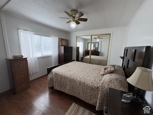 Wood-finish flooring, ceiling fan, window with blinds, and mirrored closet doors