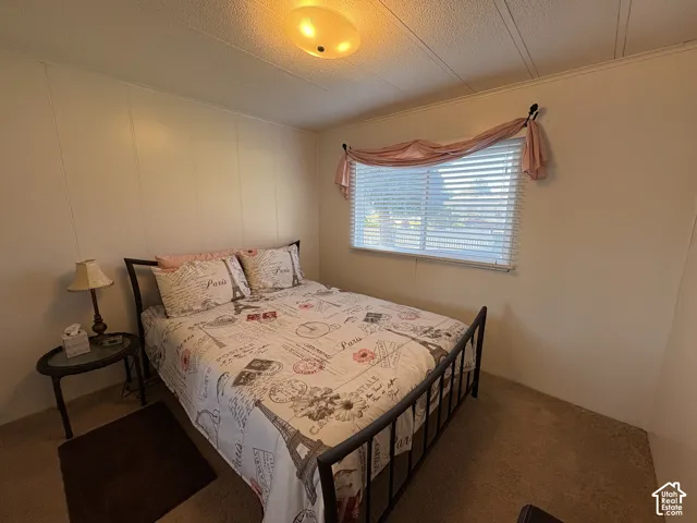 Room featuring vertical paneling, carpeting, a window with blinds, and an overhead flush-mount light fixture