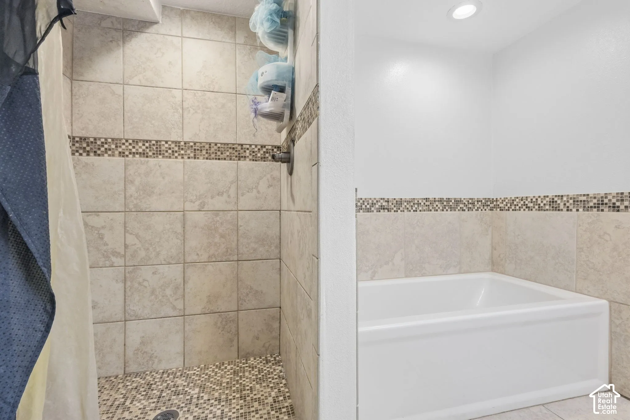 Separate Tub & Shower in Basement's Bathroom