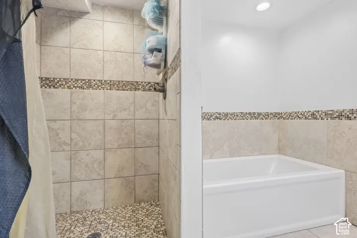 Separate Tub & Shower in Basement's Bathroom