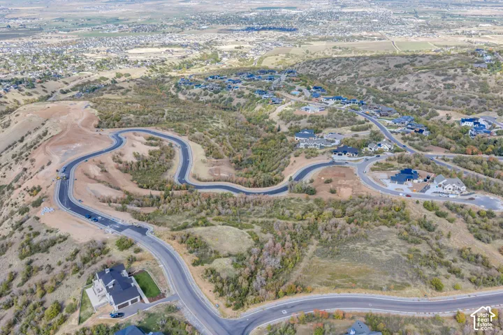 Expansive hillside property featuring paved roads, established homes, and undeveloped lots