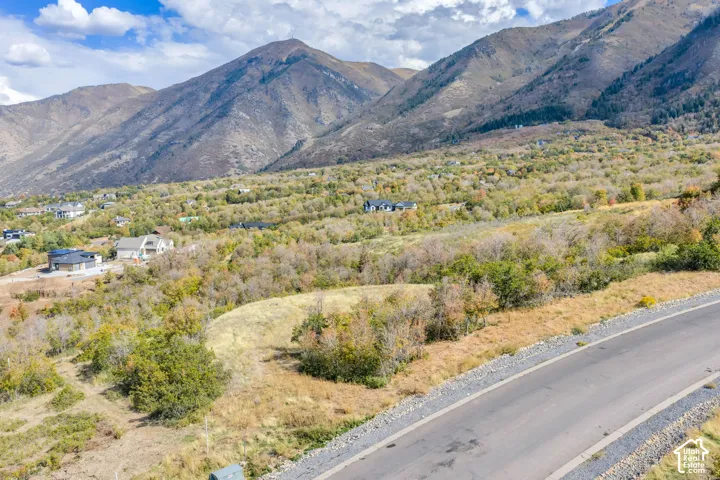Paved road frontage with a gravel shoulder, surrounded by natural vegetation and mature trees, set against a backdrop of mountainous terrain