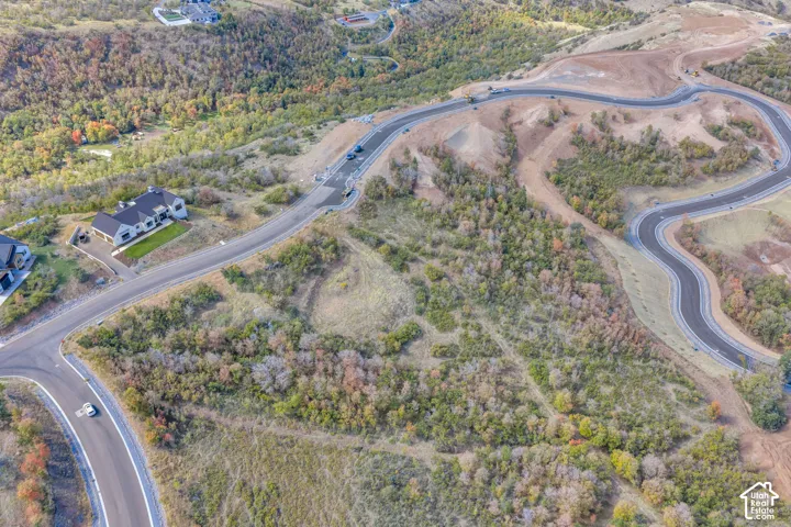Winding paved roads throughout a natural, varied landscape with scattered trees