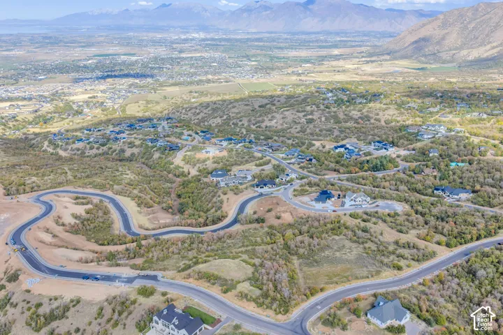 Winding paved roads within a residential development, surrounded by natural vegetation