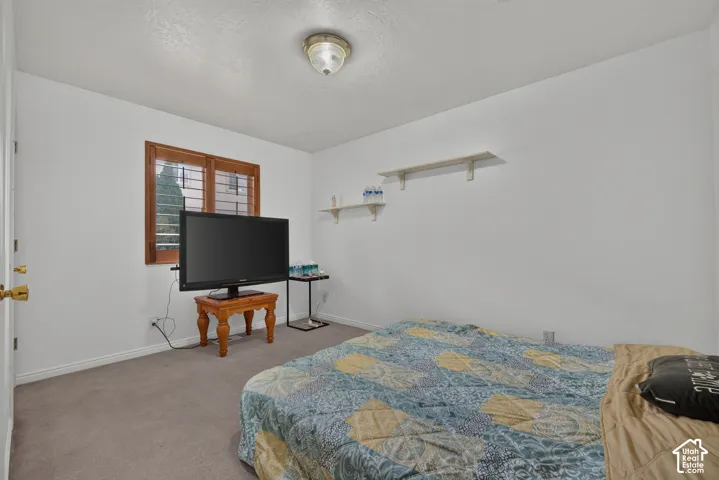 Neutral wall finishes, recessed window with wood-finish blinds, carpet flooring, and an overhead flush-mount light fixture