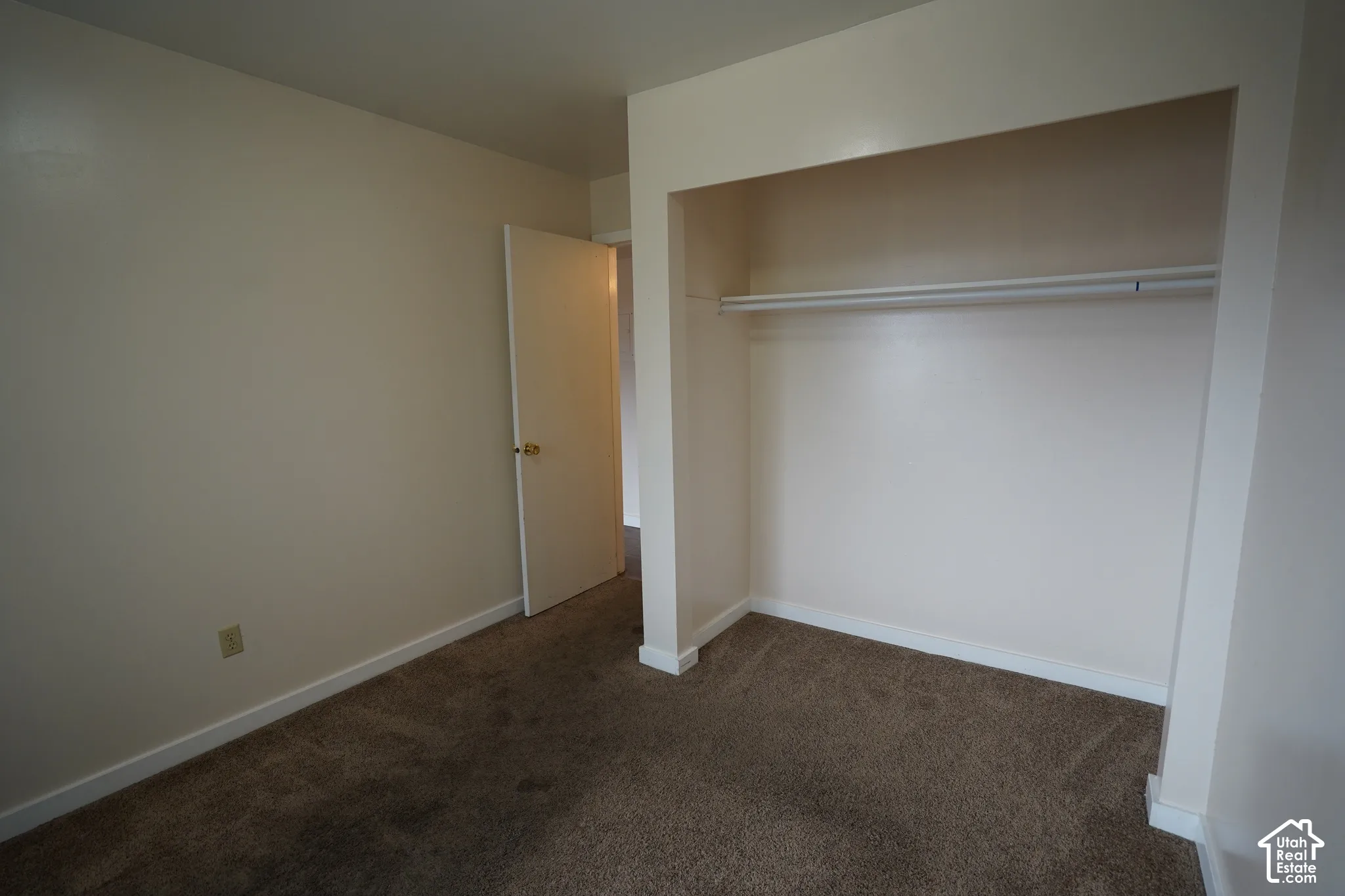 Neutral wall color, carpeted flooring, built-in closet with hanging rod, and a solid interior door