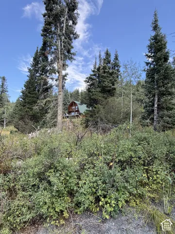 Wood-sided home with a green roof, set among mature evergreen trees and natural landscaping