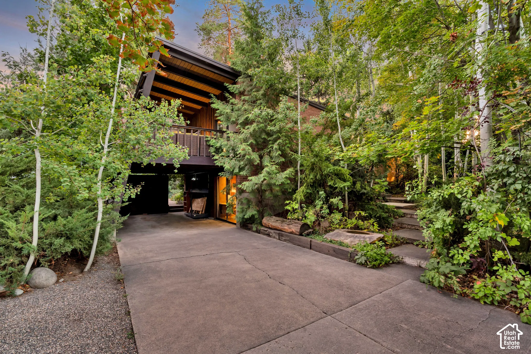 Concrete driveway leading to a multi-level residence with natural wood siding