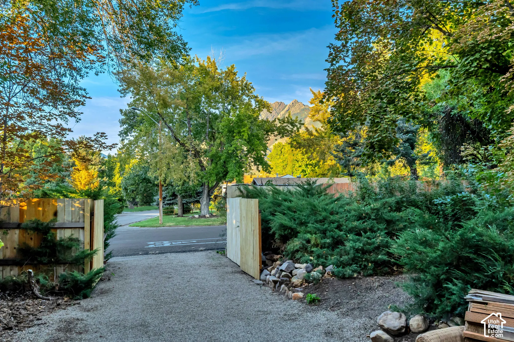 Gravel driveway bordered by natural wood fencing and mature evergreen shrubs