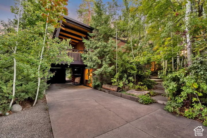 Concrete driveway leading to a multi-level residence with natural wood siding