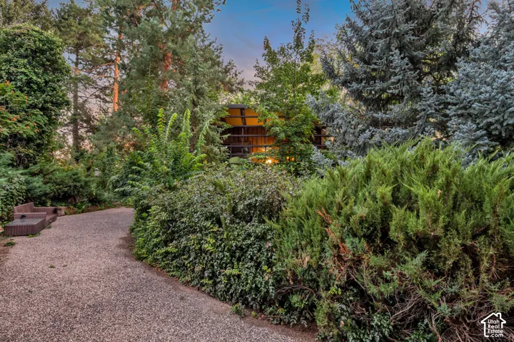 Gravel pathway flanked by dense landscaping and mature trees