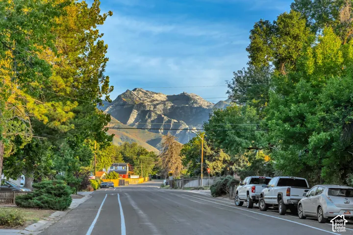 Mountain backdrop, mature trees, paved road, street lighting, residential setting
