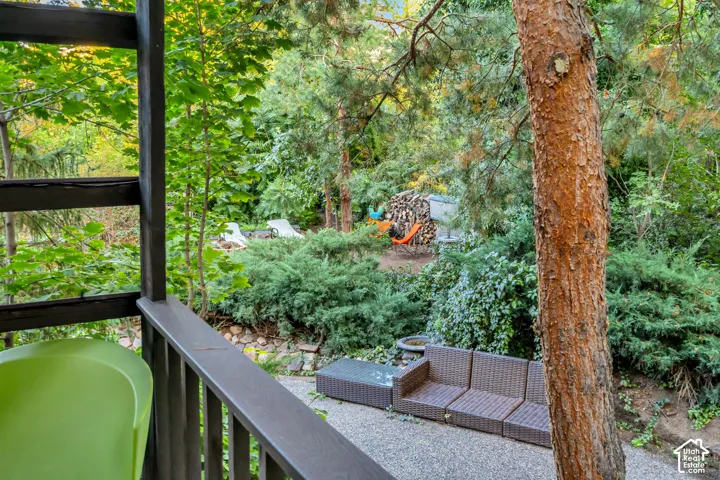 Expansive outdoor setting with varied foliage and multiple mature trees