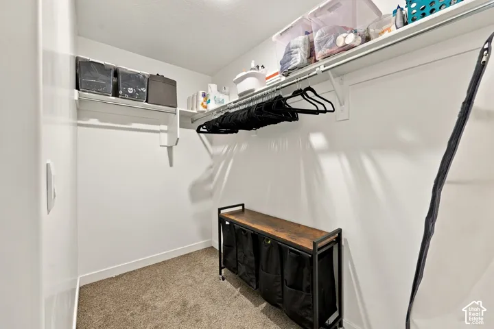 Wall-mounted shelving system with integrated hanging rods over carpeted flooring