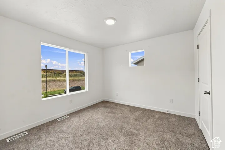 Neutral wall paint with carpet flooring