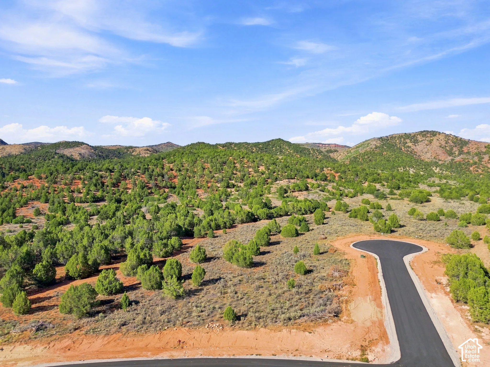 Curved paved road, natural arid landscaping, distant mountainous terrain, and abundant green foliage