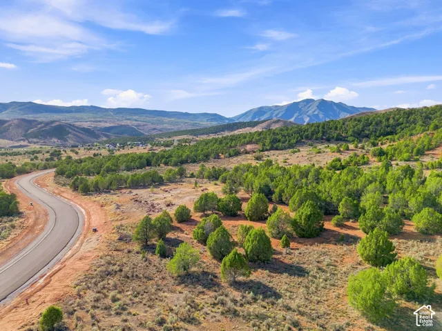 Expansive natural landscape featuring a winding paved road, scattered evergreen trees, and distant mountain ranges
