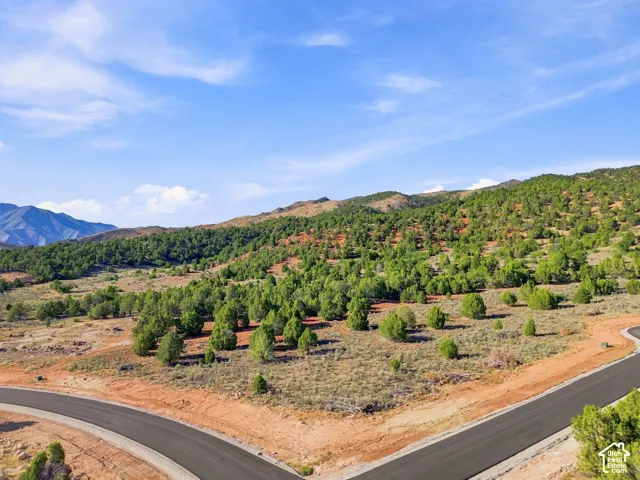 Paved roads, natural landscape, mature trees, distant mountains, and clear skies