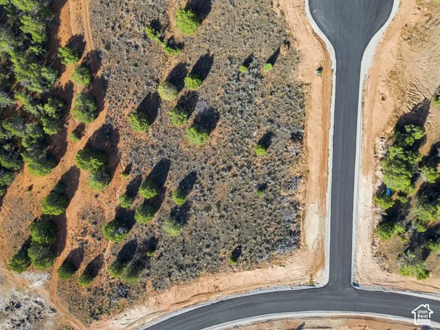 Natural landscape with established trees, extensive undeveloped land, and newly paved roadways