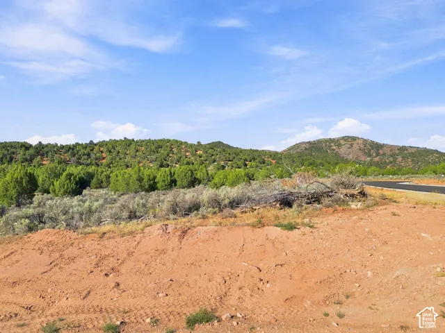 Expansive land parcel featuring natural desert flora, distant green hills, and a paved road border