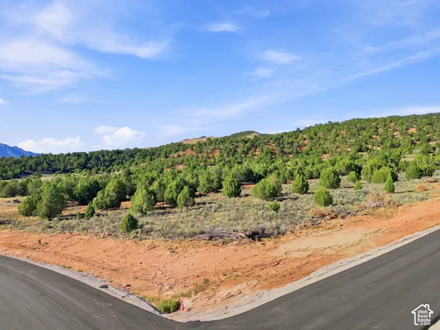 Paved roads with a natural landscape, mature trees, and distant hills