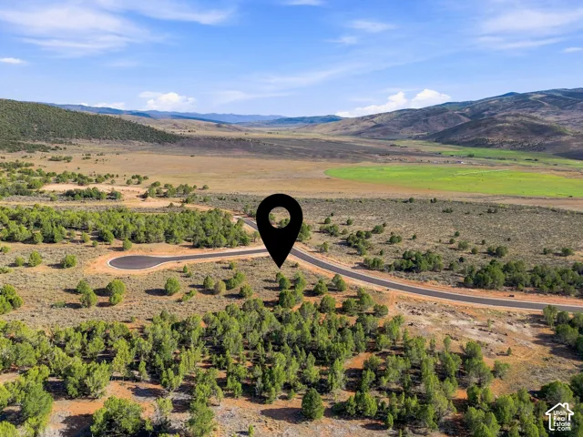 Expansive land parcel featuring mature trees, a paved road, and a cul-de-sac