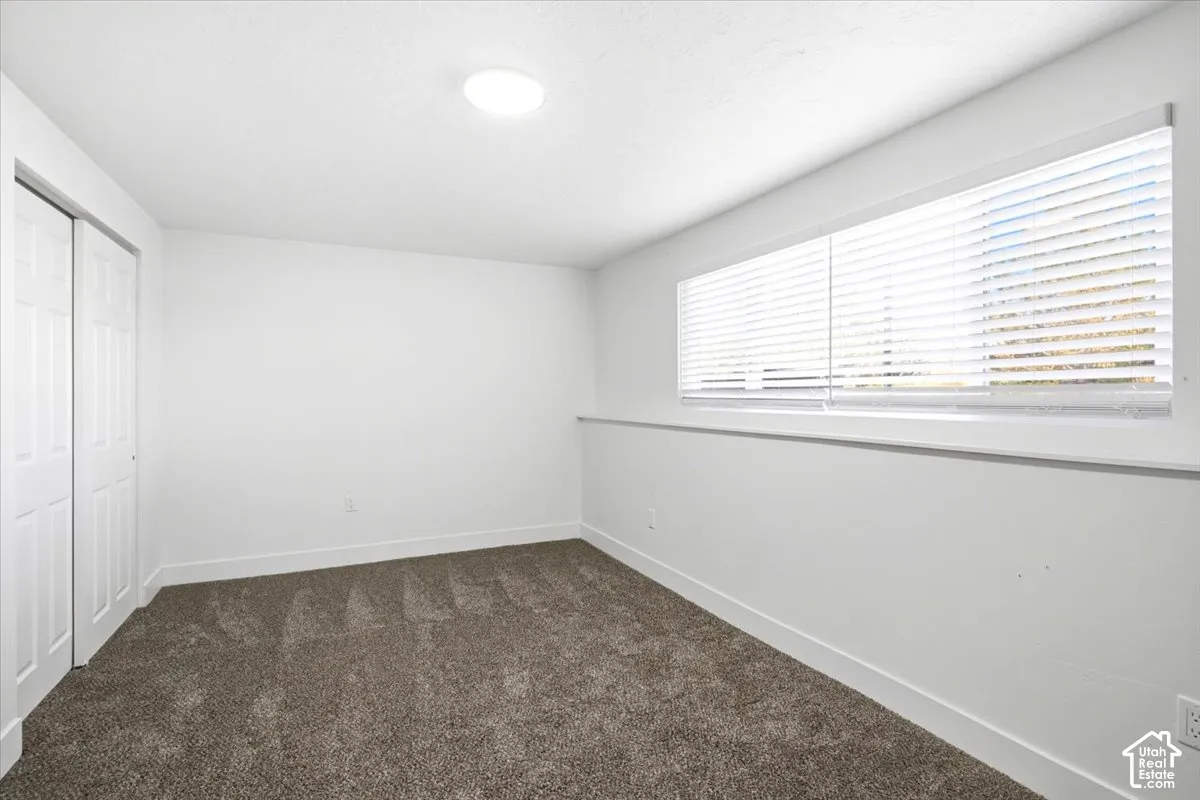 Neutral tone walls with white trim, wall-to-wall carpeting, and a flush-mount ceiling light