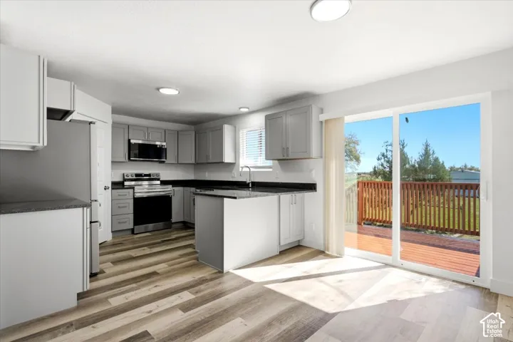 Modern kitchen featuring light gray cabinetry, dark countertops, built-in stainless steel appliances, and wood-finish flooring