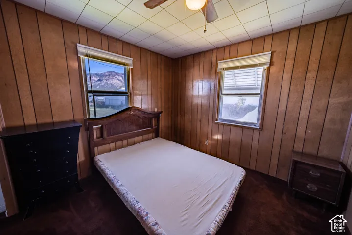 Wood-paneled walls with two windows, a ceiling fan, and carpeted flooring