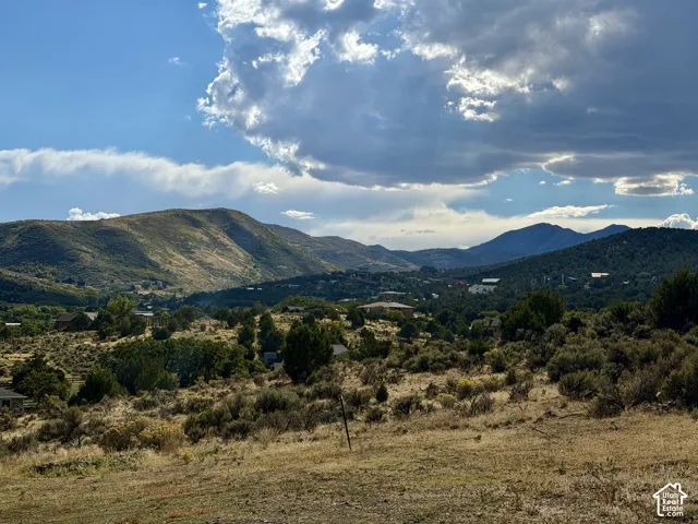 View facing Yellowfork Canyon