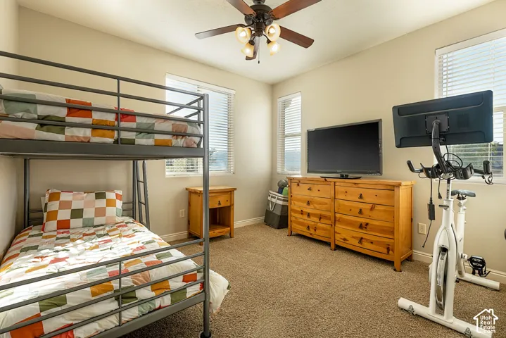 Carpeted room with a ceiling fan light fixture and multiple windows
