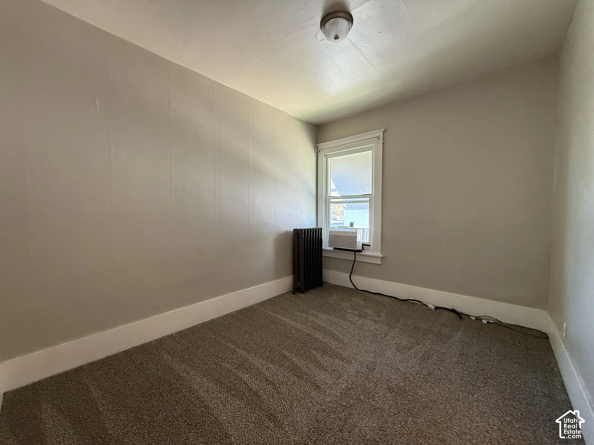 Neutral-toned interior featuring wall-to-wall carpeting, a single-hung window with wood casing, and a vintage-style cast iron radiator
