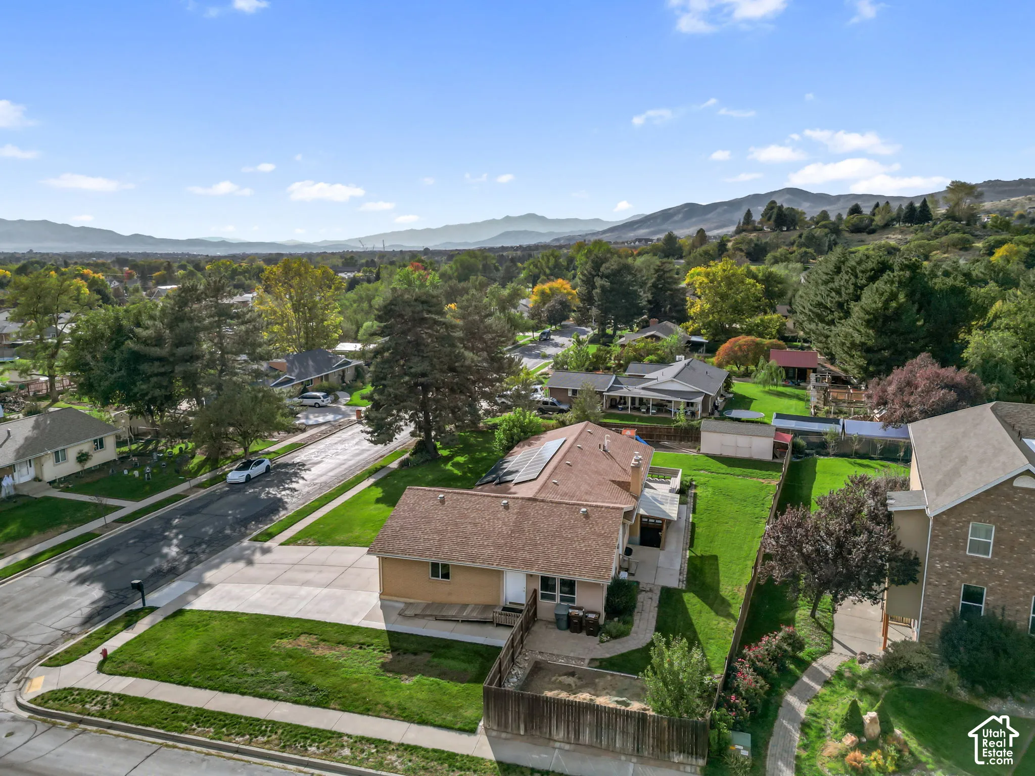 Rambler residential property featuring a large green lawn, concrete driveway, and mature trees