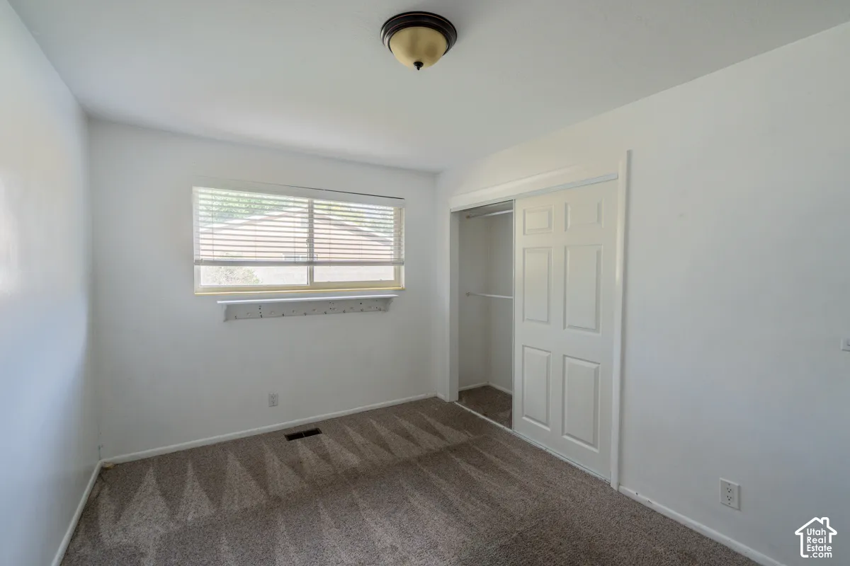 Recessed window with blinds, sliding closet doors, ceiling-mounted light fixture, and wall-to-wall carpeting