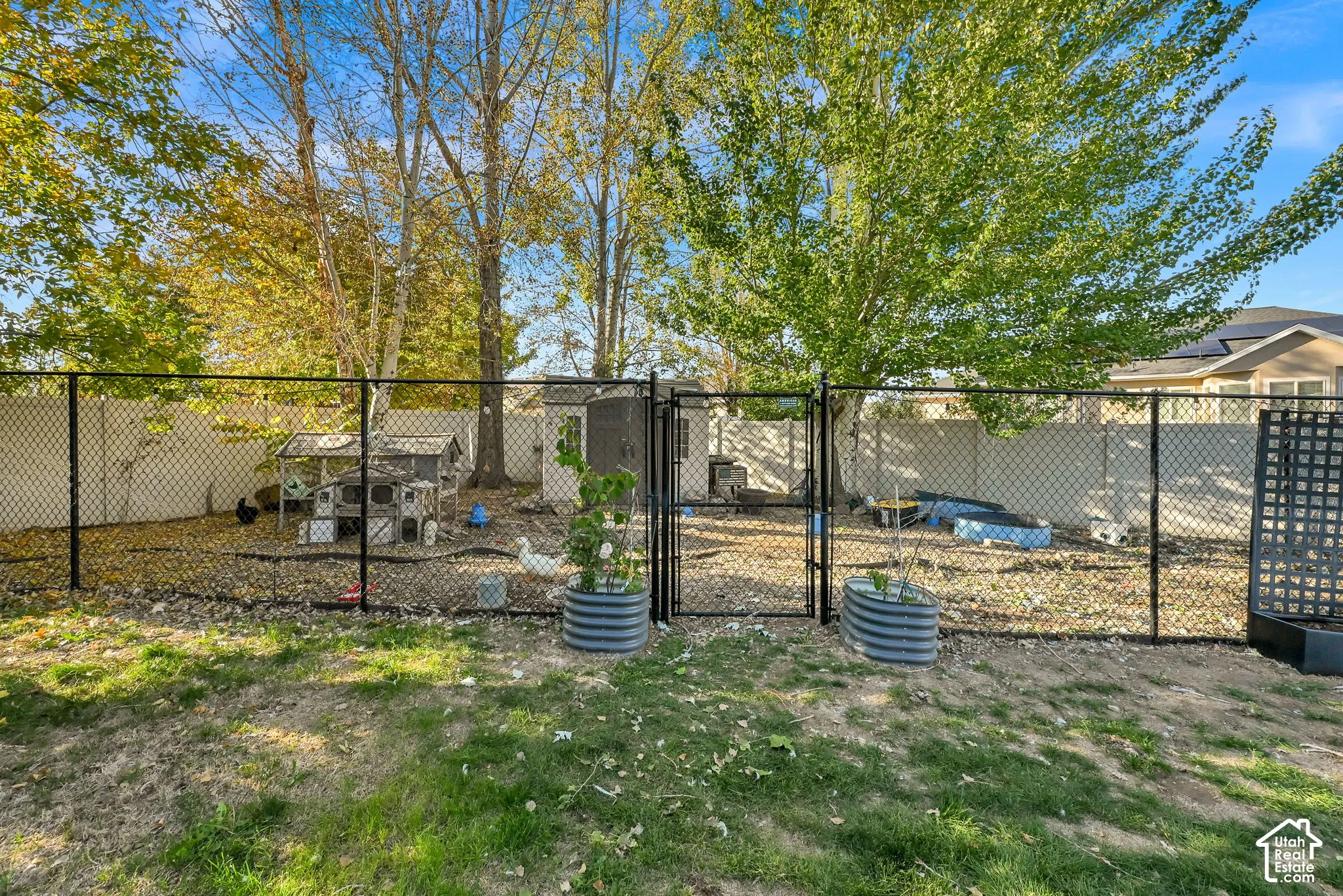 Chicken Coop/Dog run
