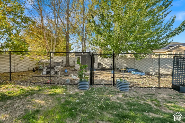 Chicken Coop/Dog run