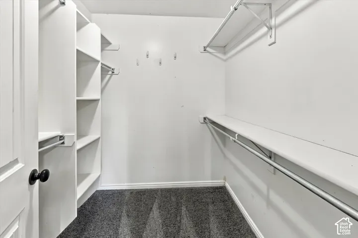 Walk-in closet with carpet flooring