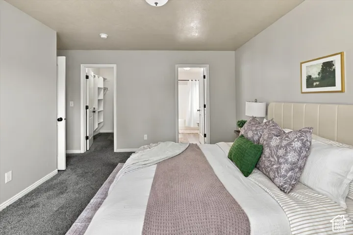 Neutral wall finish, carpeted flooring, built-in closet shelving, and a paneled headboard