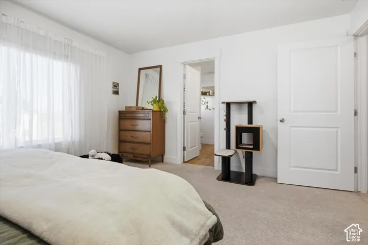 Carpeted flooring with white wall finishes, a window with sheer coverings, and white interior doors