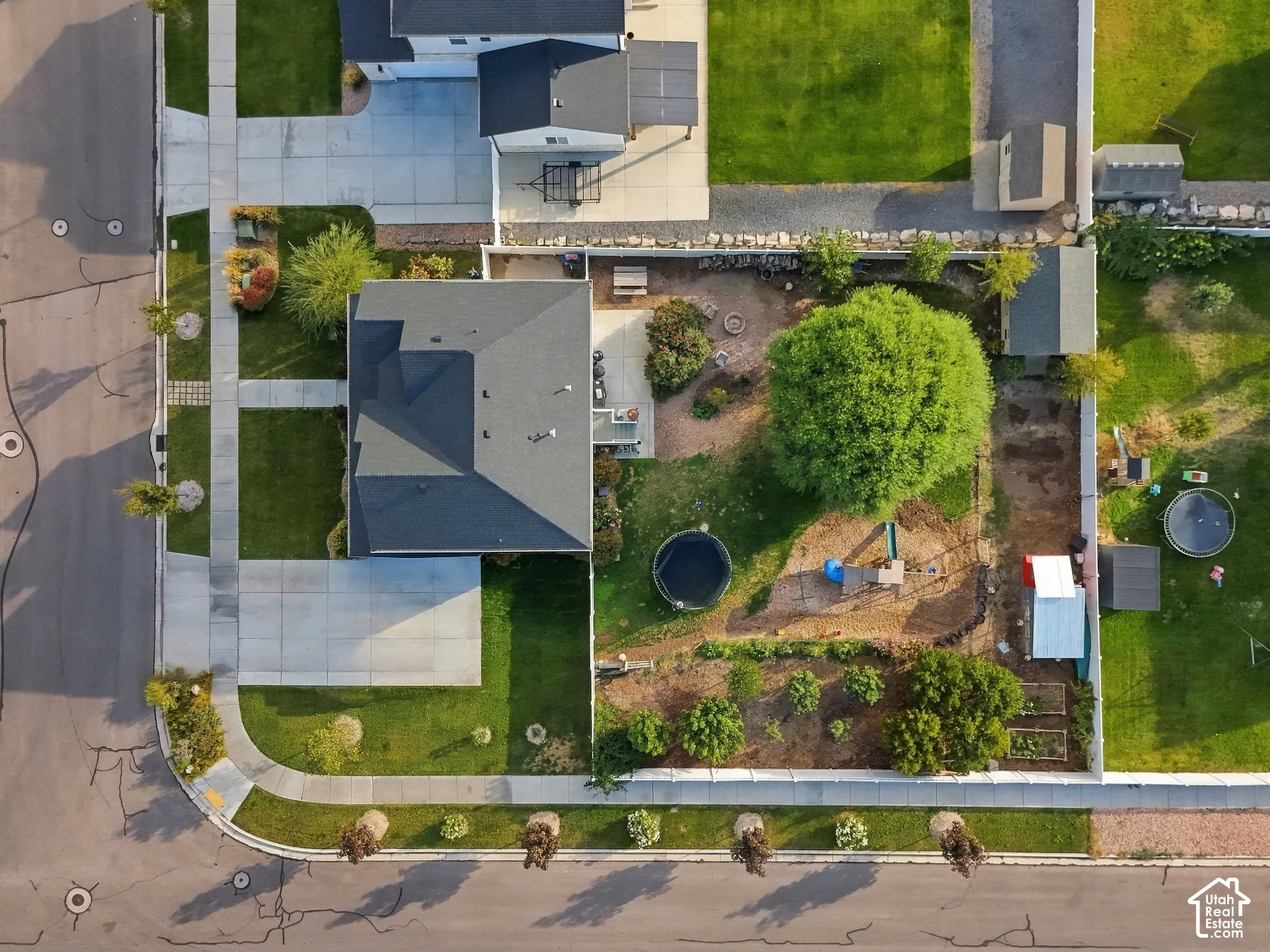 Expansive lot featuring a large private yard, established trees, concrete driveway, and concrete walkways