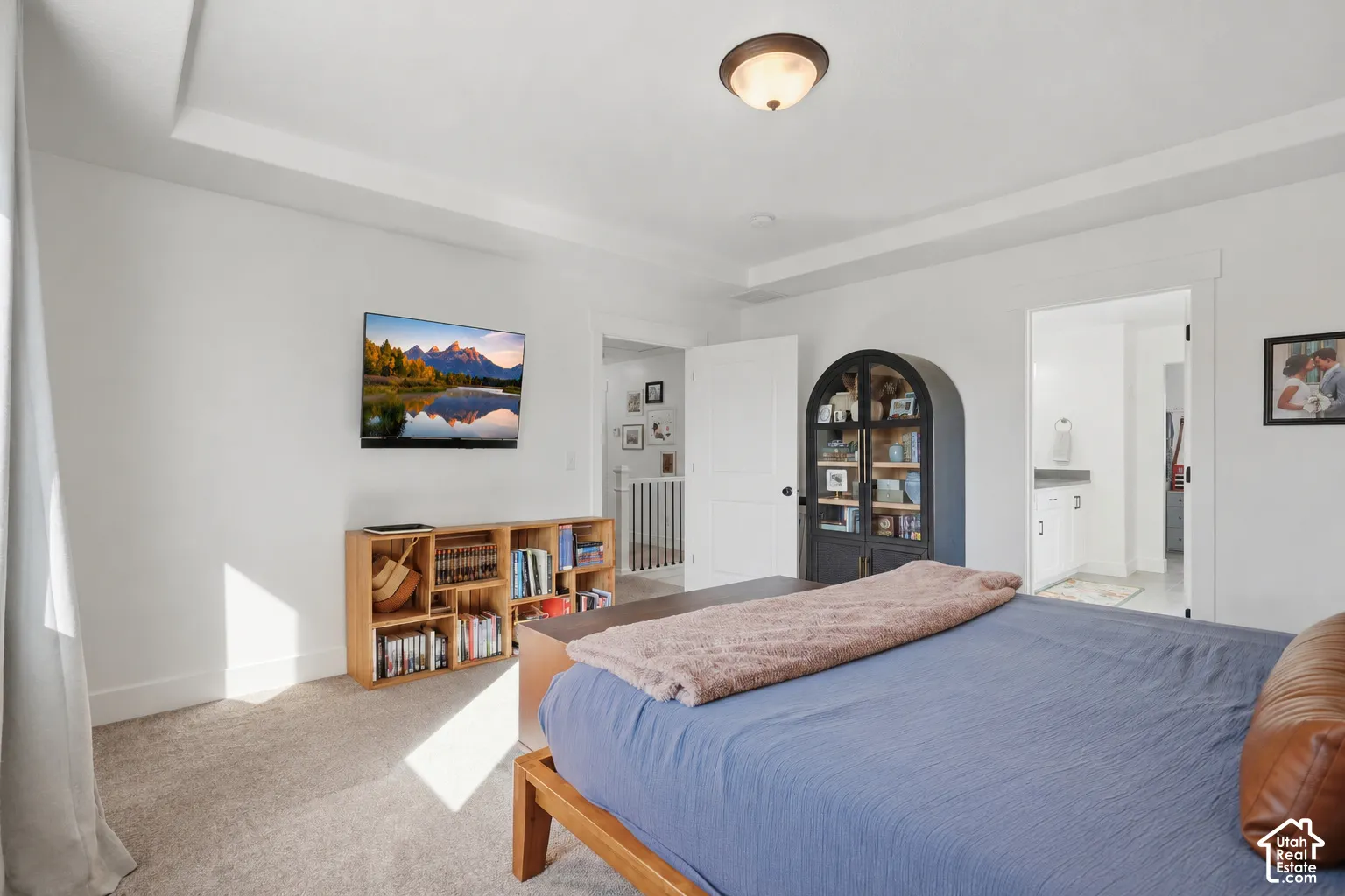 Tray ceiling, wall-mounted television, built-in shelving, flush-mount lighting, and neutral carpeting