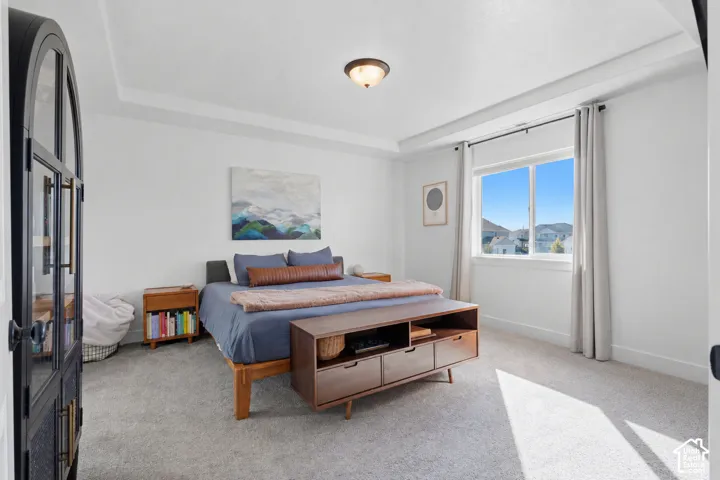 Recessed tray ceiling, neutral carpeting, window with outdoor scenery, and an arched glass-panel door